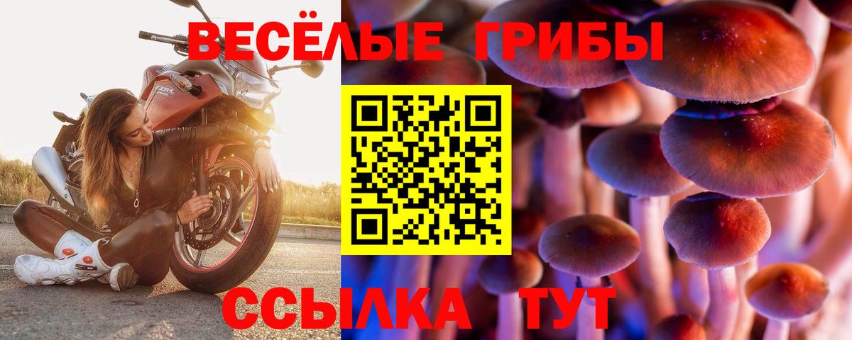 Орехово-Зуево  Галлюциногенные грибы Cubensis  Вход с VPN 